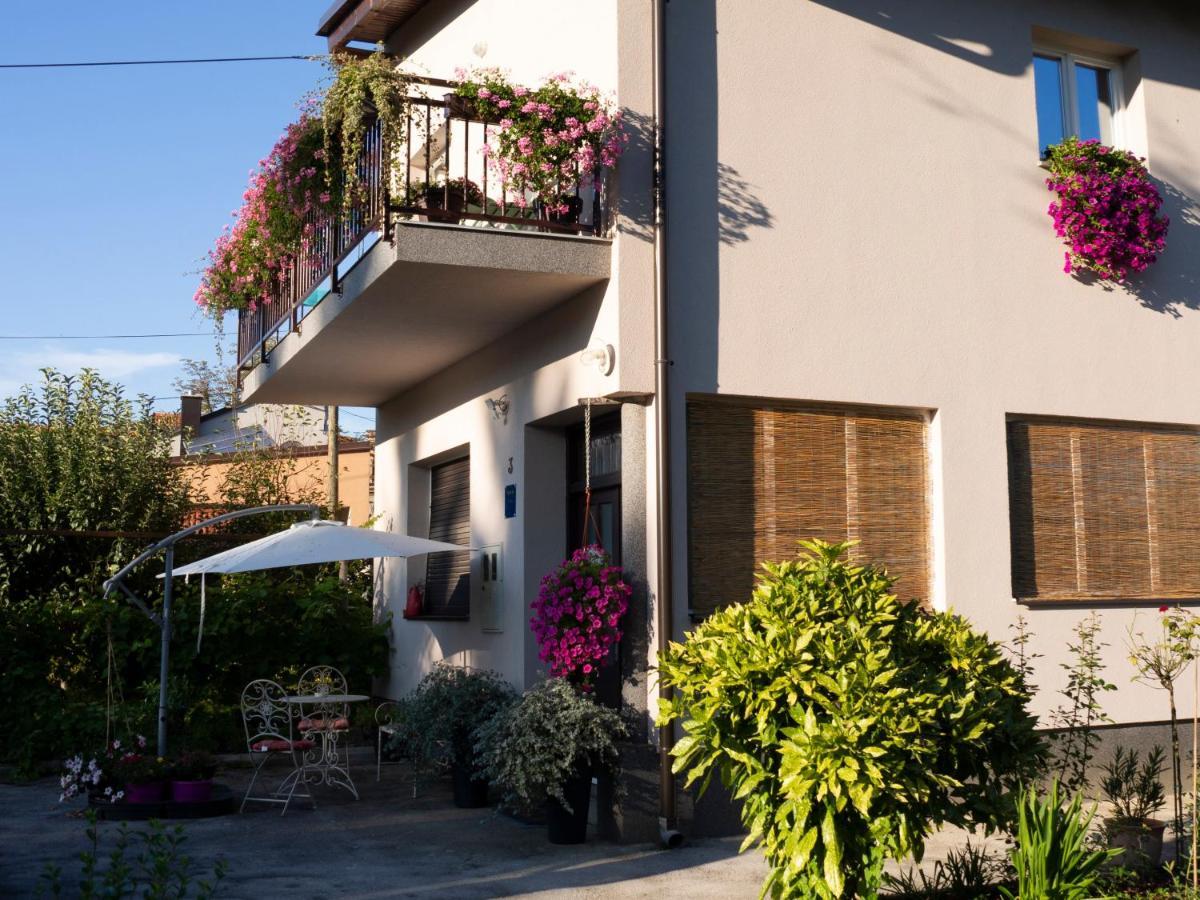 Apartment Dubovac คาร์โลวัตส์ ภายนอก รูปภาพ