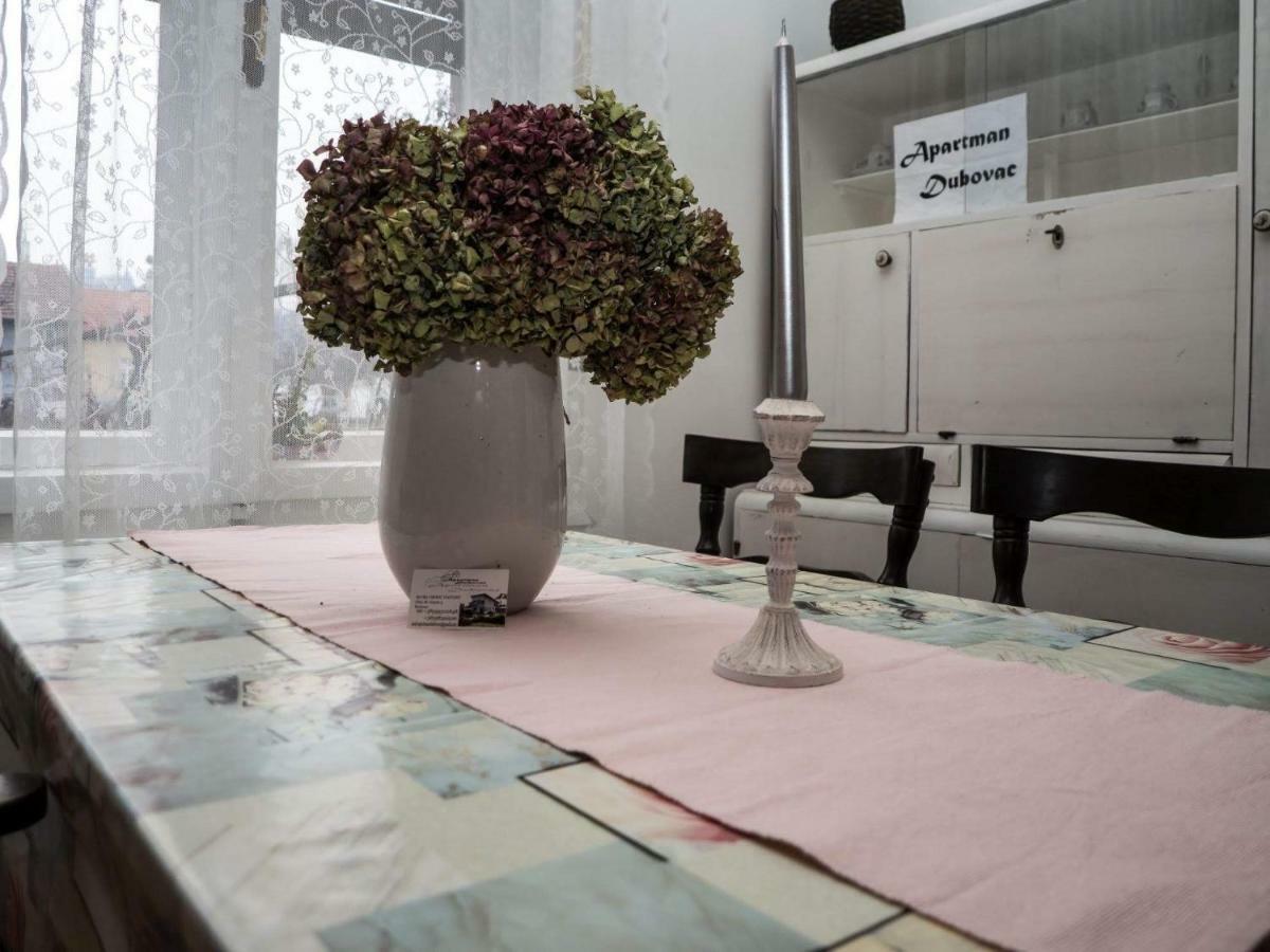 Apartment Dubovac คาร์โลวัตส์ ภายนอก รูปภาพ